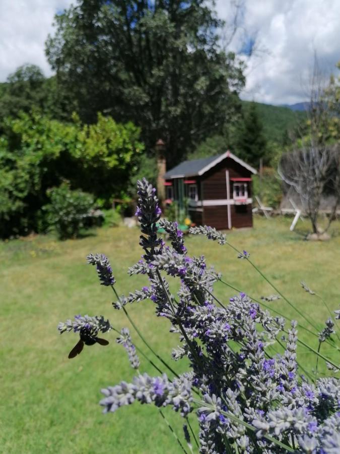 Hotel Rural El Marquesito Antigua Casa Carmela Arenas de San Pedro Dış mekan fotoğraf